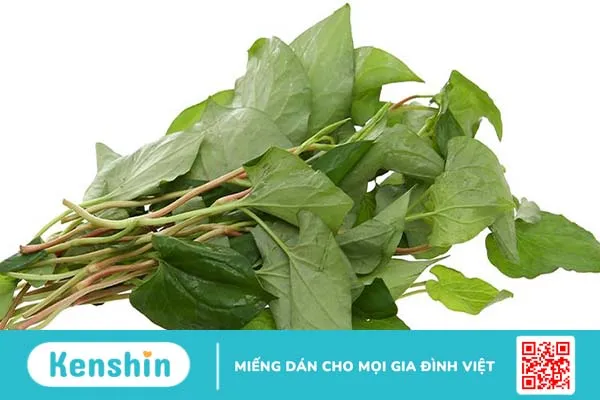 Sử dụng rau diếp cá giúp hạn chế tình trạng táo bón và hỗ trợ điều trị rất hiệu quả bệnh trĩ