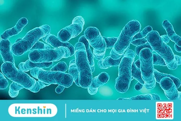 Nhiễm trùng Legionella và viêm phổi do Legionella có nguy hiểm không? 1