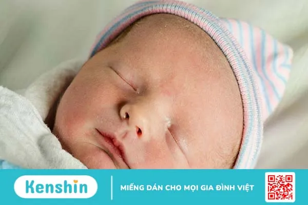 Nhiễm trùng ở trẻ sơ sinh có thể làm tăng nguy cơ mắc bệnh tim sau này trong cuộc sống 1