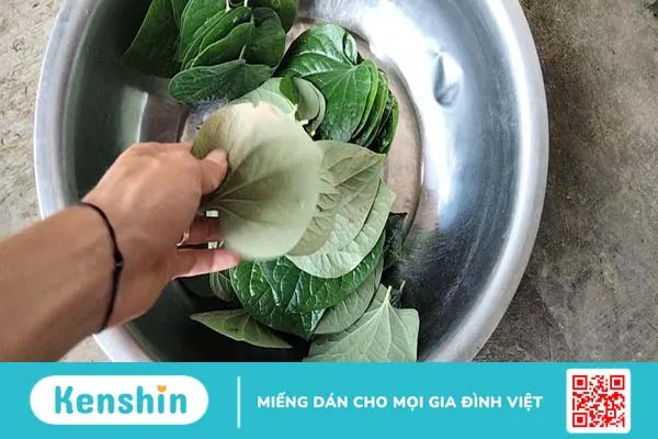 Những cách chữa thủy đậu dân gian an toàn, hiệu quả