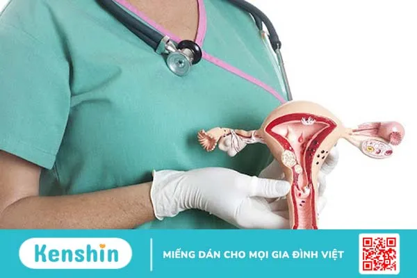 Những Chia Sẻ Về Phòng Ngừa Viêm Lộ Tuyến Cổ Tử Cung 2