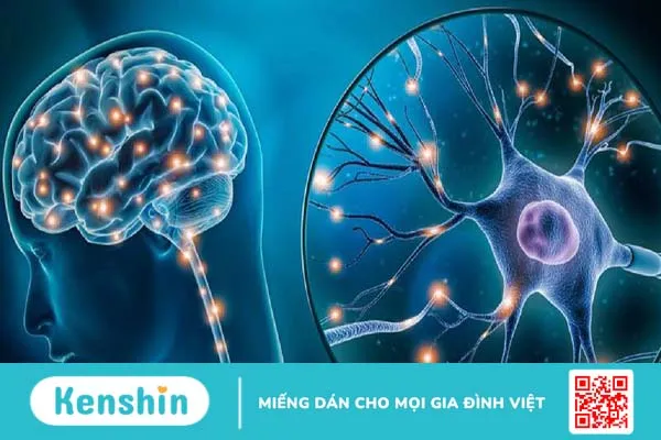 Những điều bạn cần biết về phản xạ không điều kiện và phản xạ có điều kiện 4