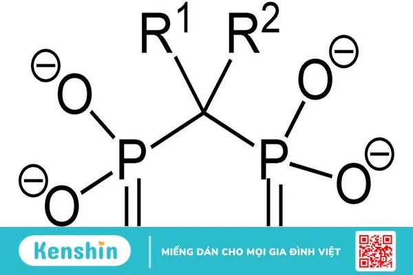 Bisphosphonates là thuốc chống hủy xương