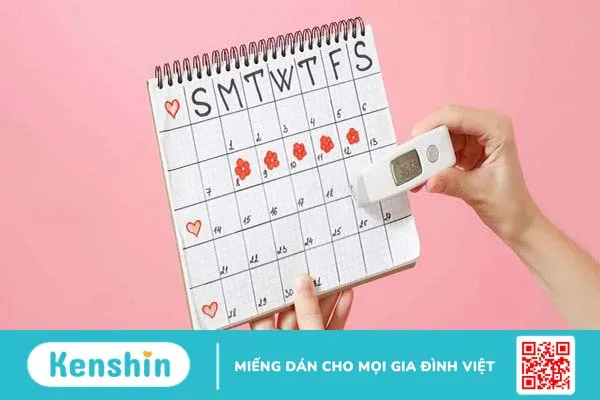 Những điều cần biết khi sử dụng que thử rụng trứng điện tử 3