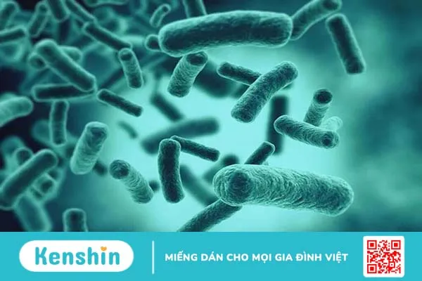 Nổi hạch ở nách có mủ nguy hiểm không? Điều trị hiện tượng nổi hạch ở nách như thế nào? 1