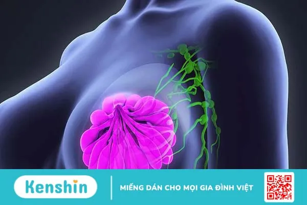 Nguyên nhân gây ra hiện tượng nổi hạch ở vành tai là gì? Biện pháp phòng ngừa 3