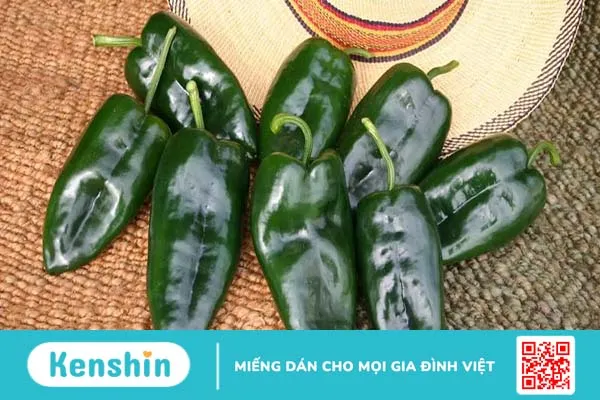 Ớt Poblano: Giá trị dinh dưỡng, lợi ích và cách sử dụng 1