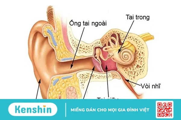 Phẫu thuật viêm tai giữa mãn tính: Đối tượng chỉ định và lưu ý khi chăm sóc?