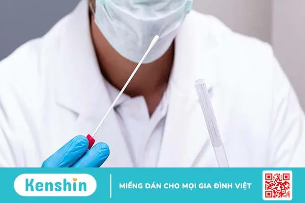 Bệnh gây ra bởi vi khuẩn Mycoplasma và phương pháp xét nghiệm Mycoplasma 2