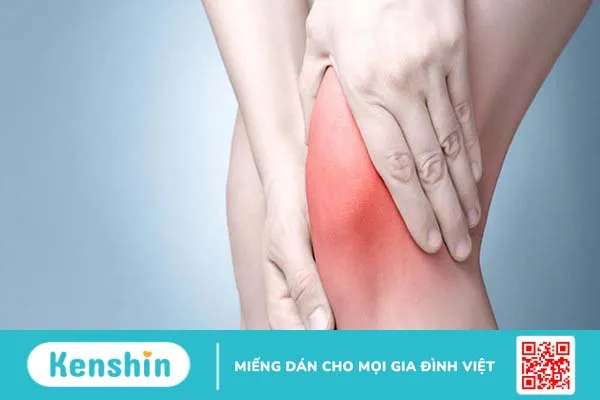 Quả bách xù là gì ? Tác dụng sức khỏe của quả bách xù 3