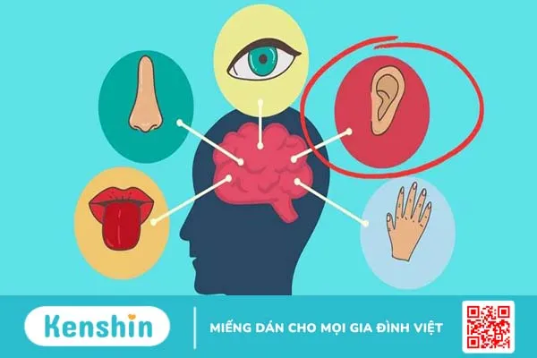 Quá tải cảm giác là gì? Làm thế nào để đối phó với trạng thái quá tải? 2