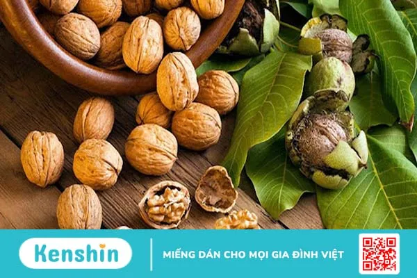 Quản lý các vấn đề về giấc ngủ sau điều trị ung thư vú 3