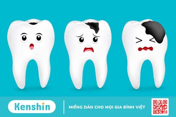 Quế hoa là gì? Vai trò của chúng trong Y học cổ truyền và hiện đại 4