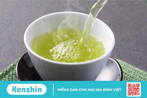 Rau dền gai chữa giãn tĩnh mạch: Cách dùng hiệu quả và an toàn 3