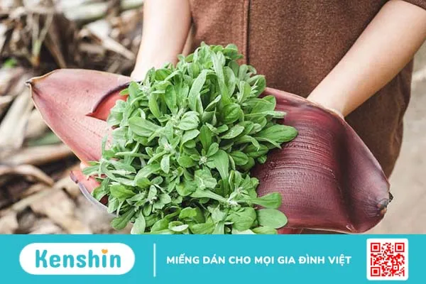 Rau khúc: Những lợi ích sức khỏe tuyệt vời có thể bạn chưa biết 1