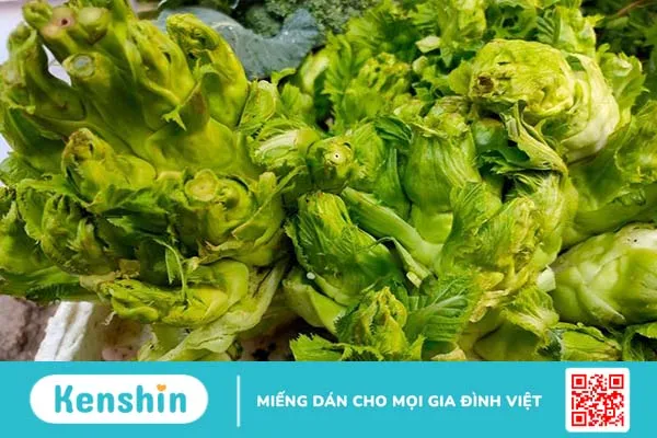 Giải đáp: Rau mầm đá có tác dụng gì? 1