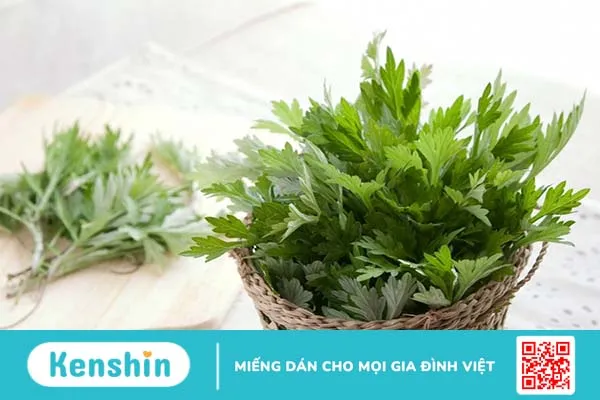 Rau ngải cứu và những công dụng tuyệt vời 2