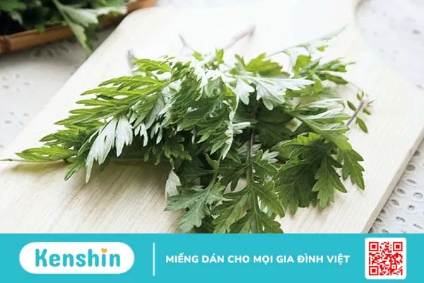 Rau ngải cứu và những công dụng tuyệt vời 3