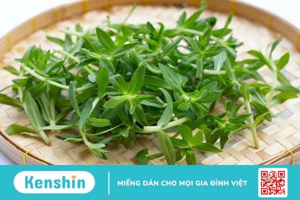 Rau om có những công dụng tuyệt vời gì? 2