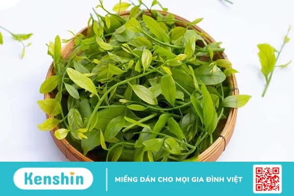 Món ngon từ rau sắng - vị thuốc trị bệnh tuyệt vời 2