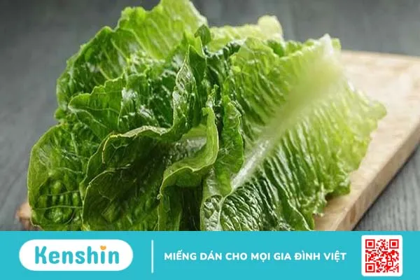 Rau xà lách bao nhiêu calo? Lợi ích của việc ăn rau xà lách 2