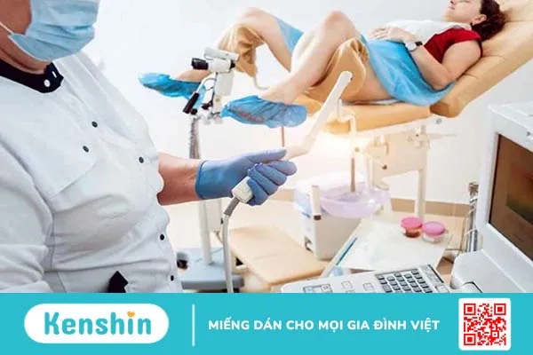 Siêu âm đầu dò: Những điều bạn cần biết 1