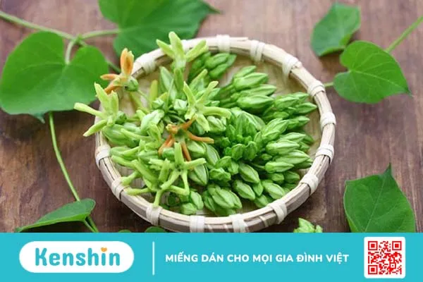 Sử dụng lá thiên lý chữa bệnh trĩ sao cho hiệu quả nhất 3