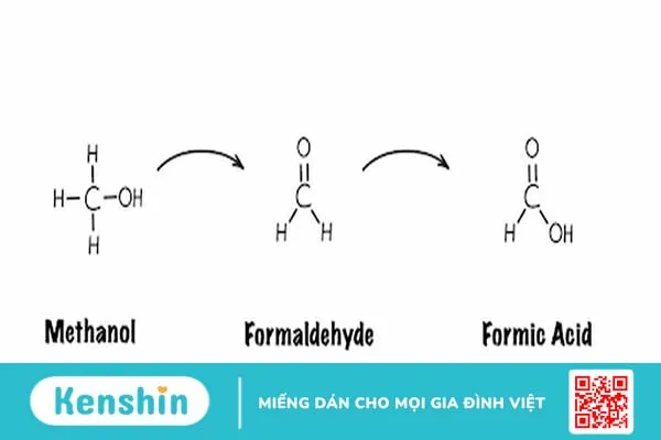 Sự nguy hiểm của ngộ độc methanol và cách điều trị 2