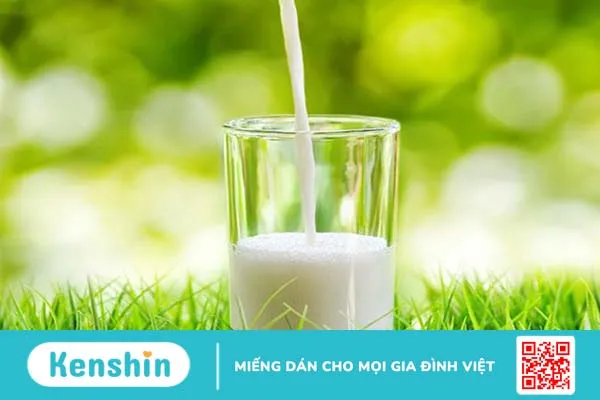 Sữa whey protein là gì? Có tác dụng như thế nào? 2