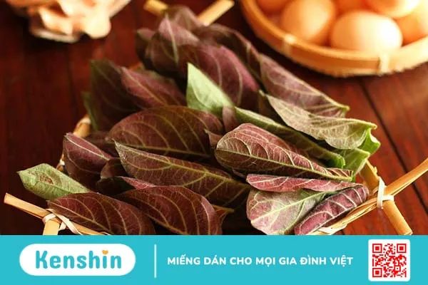 Tác hại của lá mơ lông và những lưu ý khi sử dụng 3