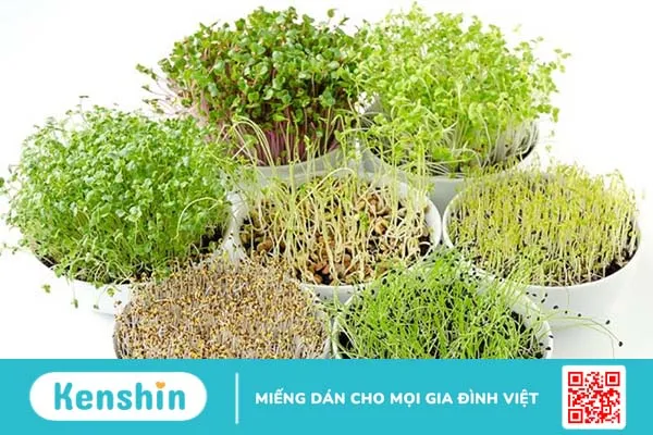 Tại sao bà bầu không nên ăn rau mầm? Ăn rau gì để tốt cho sức khỏe thai kỳ? 2