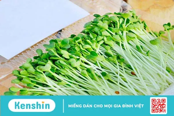 Tại sao bà bầu không nên ăn rau mầm? Ăn rau gì để tốt cho sức khỏe thai kỳ? 4