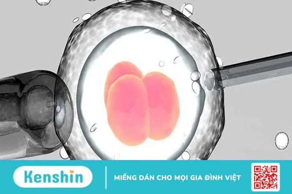 Thắc mắc: Thụ tinh ống nghiệm có an toàn không 1