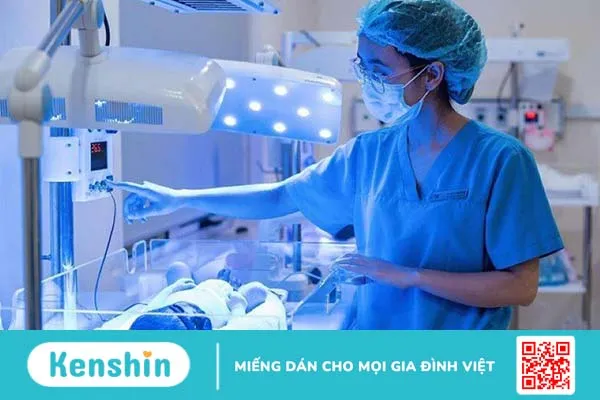 Thay máu là gì? Những thông tin về điều trị bệnh vàng da ở trẻ nhỏ 2