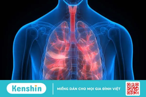 Thở mím môi: Hướng dẫn chi tiết cách thực hiện, lợi ích và lưu ý cần biết 2