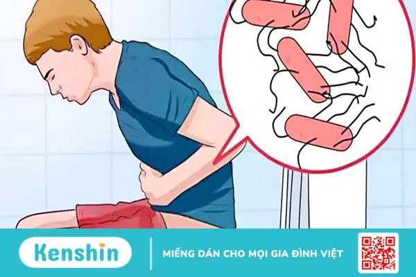 Thông tin về phác đồ điều trị tiêu chảy cấp bộ y tế 2