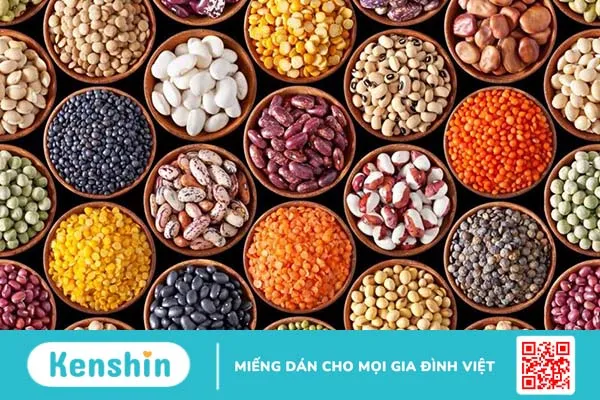 Nguồn chất xơ dồi dào có trong đậu rất tốt cho người bệnh trĩ, giúp người bệnh đi cầu đều đặn hơn