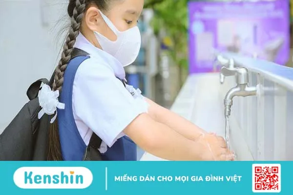 Thực hư việc đại dịch Covid-19 đã tiêu diệt một chủng virus cúm phổ biến? 3