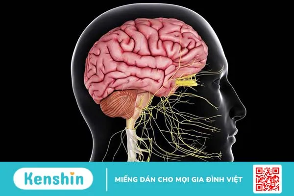 Thuốc chống biến chứng tiểu đường thường dùng và biện pháp tự nhiên phòng ngừa biến chứng 4