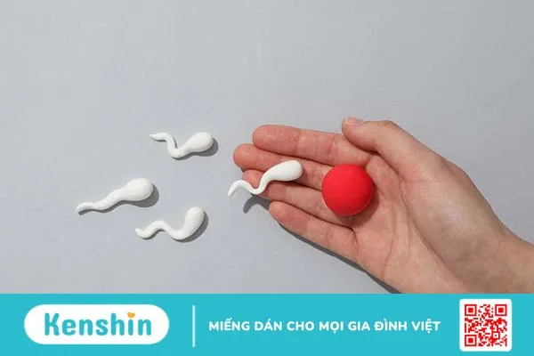 Tỉ lệ mang thai khi xuất ngoài khoảng bao nhiêu? Xuất ngoài có an toàn không 3