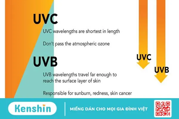 Tia UVA, UVB là gì? Bảo vệ da khỏi tia UVA, UVB như thế nào? 1