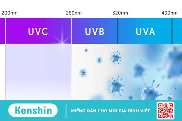 Tia UVA, UVB là gì? Bảo vệ da khỏi tia UVA, UVB như thế nào? 2