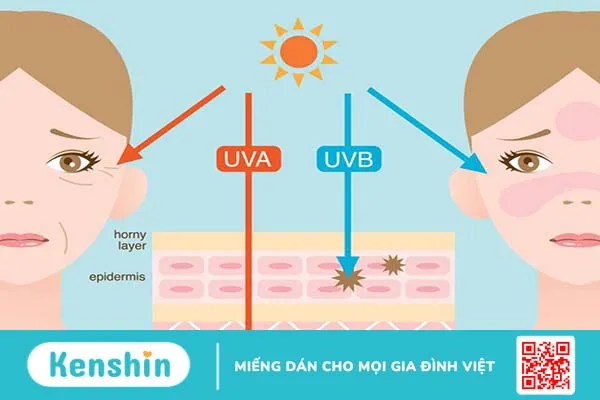 Tia UVA, UVB là gì? Bảo vệ da khỏi tia UVA, UVB như thế nào? 3