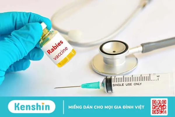 Tiêm phòng dại có ảnh hưởng đến sinh sản không? 2