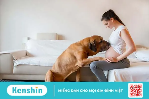 Tiêm phòng dại có ảnh hưởng đến thai nhi không? 2