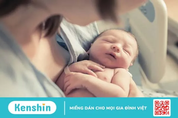 Tìm hiểu chi tiết về dị tật bẩm sinh tâm thất độc nhất 3