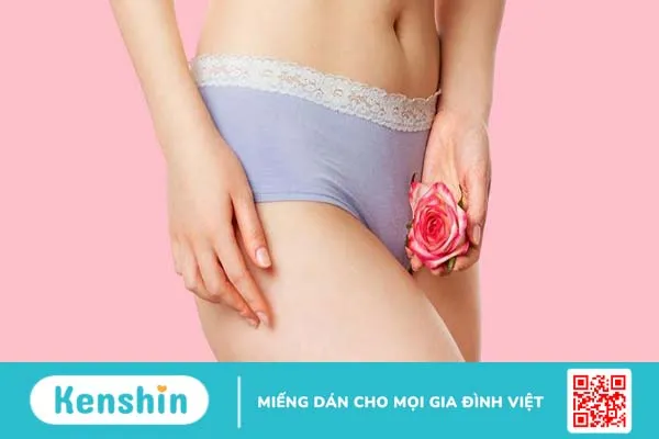 Tìm hiểu Clitoris là gì? Cấu tạo, chức năng và biện pháp chăm sóc Clitoris tốt nhất 1