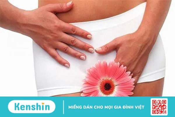 Tìm hiểu Clitoris là gì? Cấu tạo, chức năng và biện pháp chăm sóc Clitoris tốt nhất 4