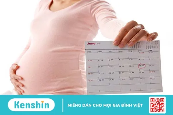 Tìm hiểu về lupus ban đỏ hệ thống mãn tính 3