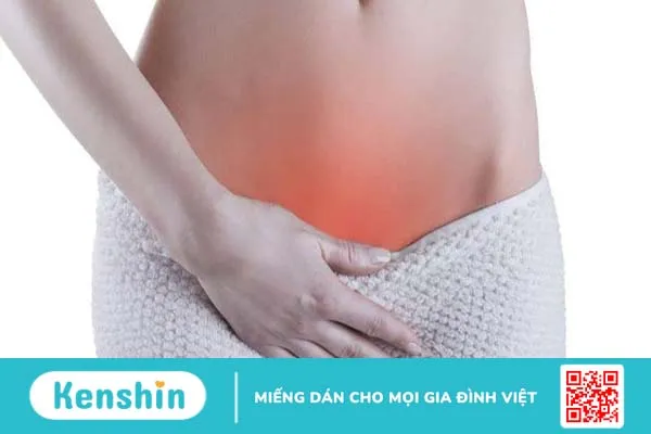 Phác đồ điều trị viêm đường tiết niệu nữ như thế nào? 1